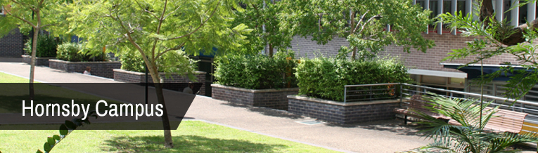 Picture of Hornsby Campus